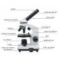 Microscópio Biológico Monocular 1600x