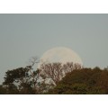 Luneta - Telescopio - SvBONY - 25-75x70 com Tripé - SV28 